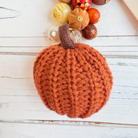 NEW Lenora Dame Burnt Orange Crocheted Pumpkin Bag Charm