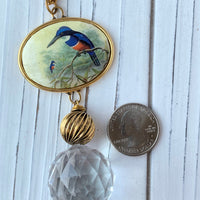 Lenora Dame Hummingbird Vintage Print Pendant Necklace