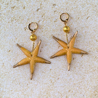 Lenora Dame Sea Star Golden Starfish Earrings - LAST ONE!